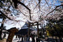 それぞれの春。。。