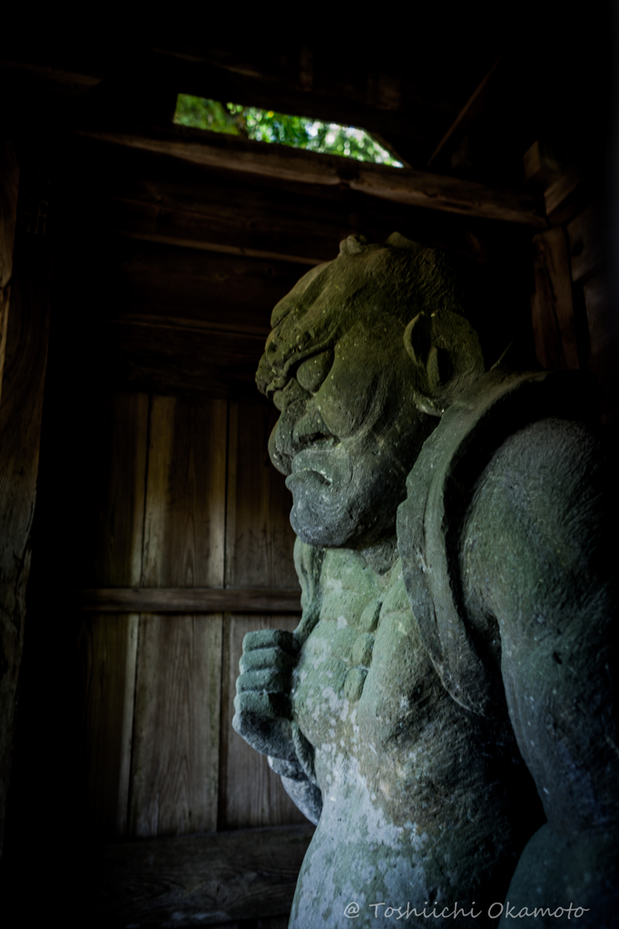 sekibutu 6