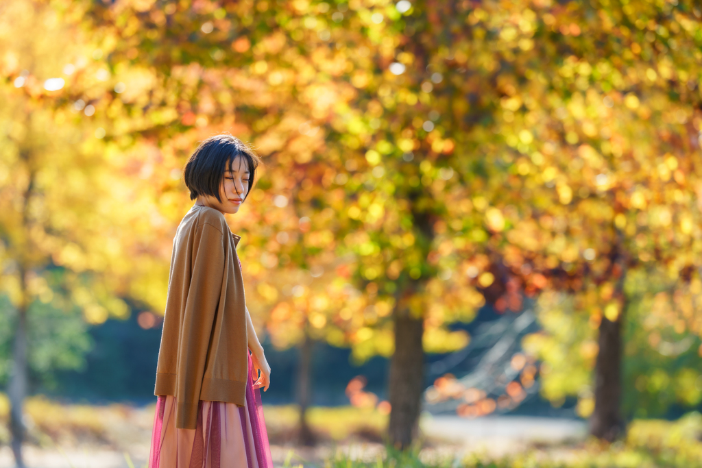 SHIHO ヒカリノ森