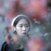 Shiho 