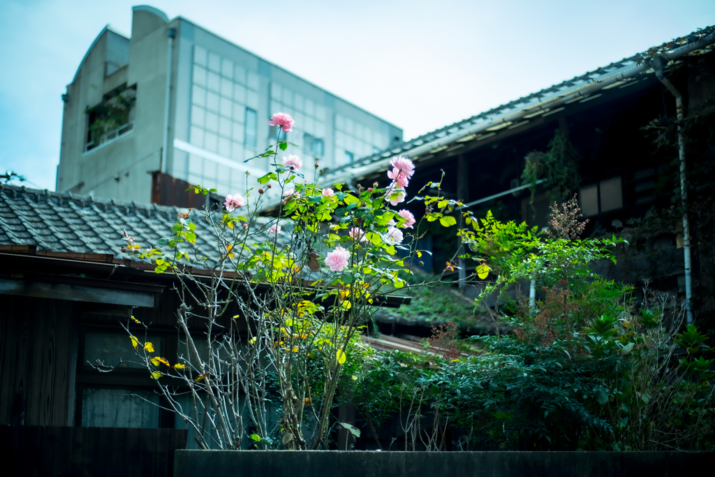 小倉　馬借界隈