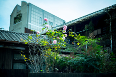 小倉　馬借界隈