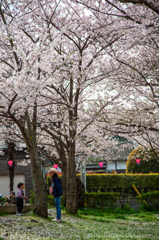 お姉ちゃんの言うことが聞けないの!!