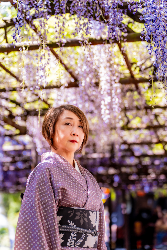 藤の花