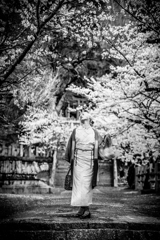 SAKURA MONOCHROME