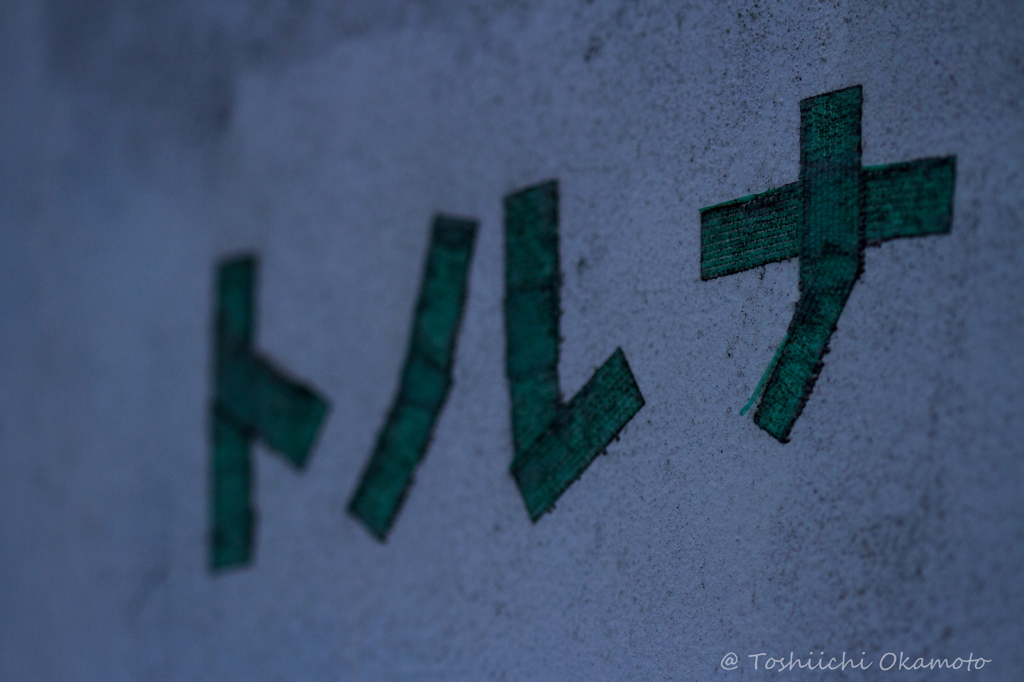 撮っちゃいました。。