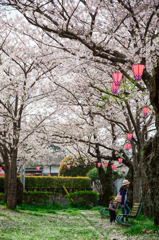 ゴメンナサイ・・・