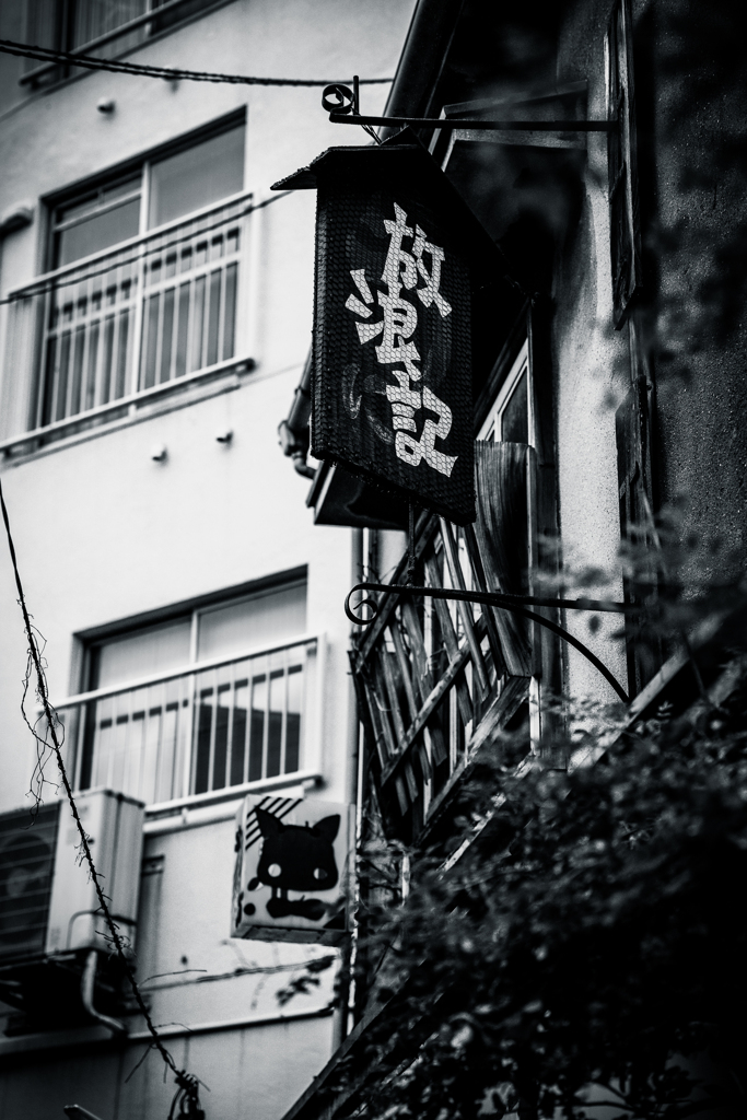 放浪記