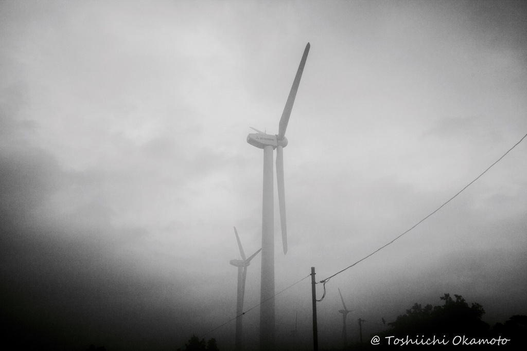 朝霧に浮かび上がる。。