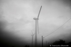 朝霧に浮かび上がる。。