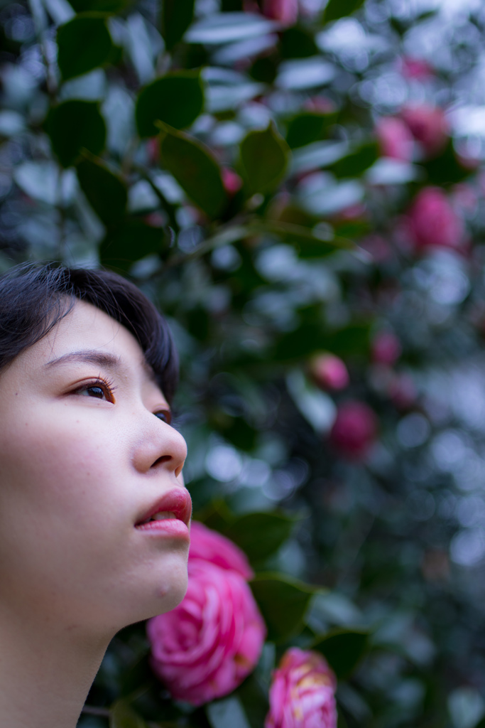 F.Shiho