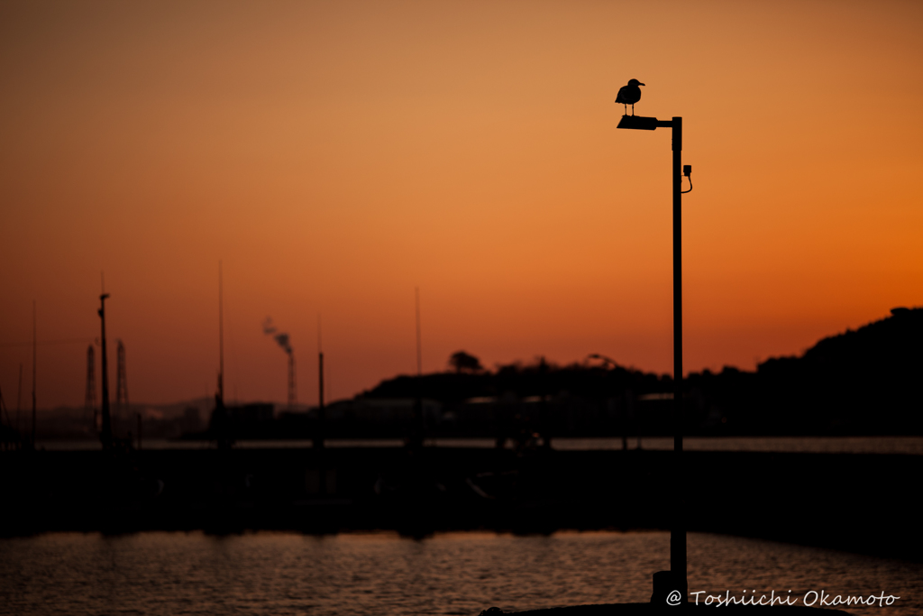 City Sunset