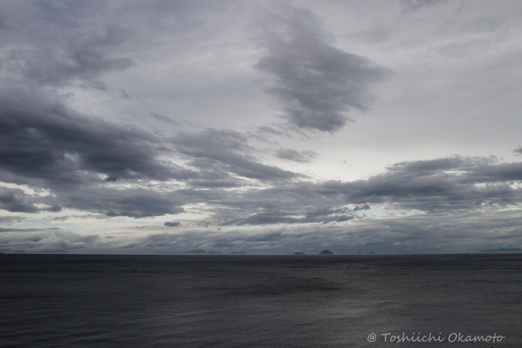 二羽のカモメ．．．