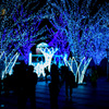 BULE ILLUMINATION