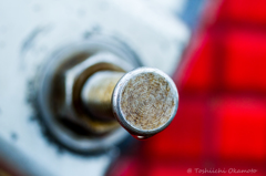 Rusty Bolt