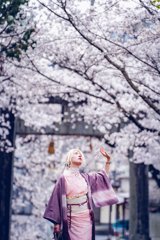 薄桜色