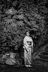 或る着物婦人