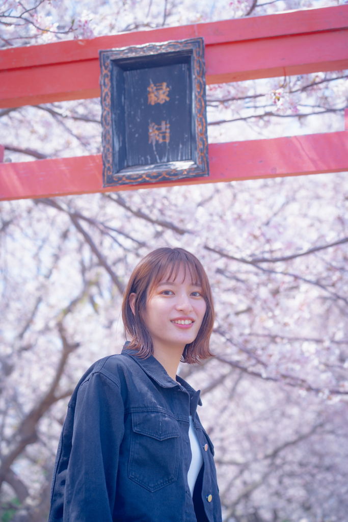 桜日和