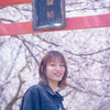桜日和