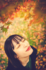 夢紅葉