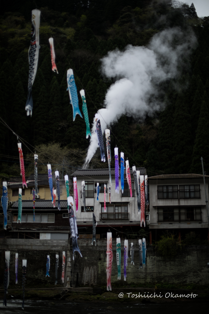 恋のぼり