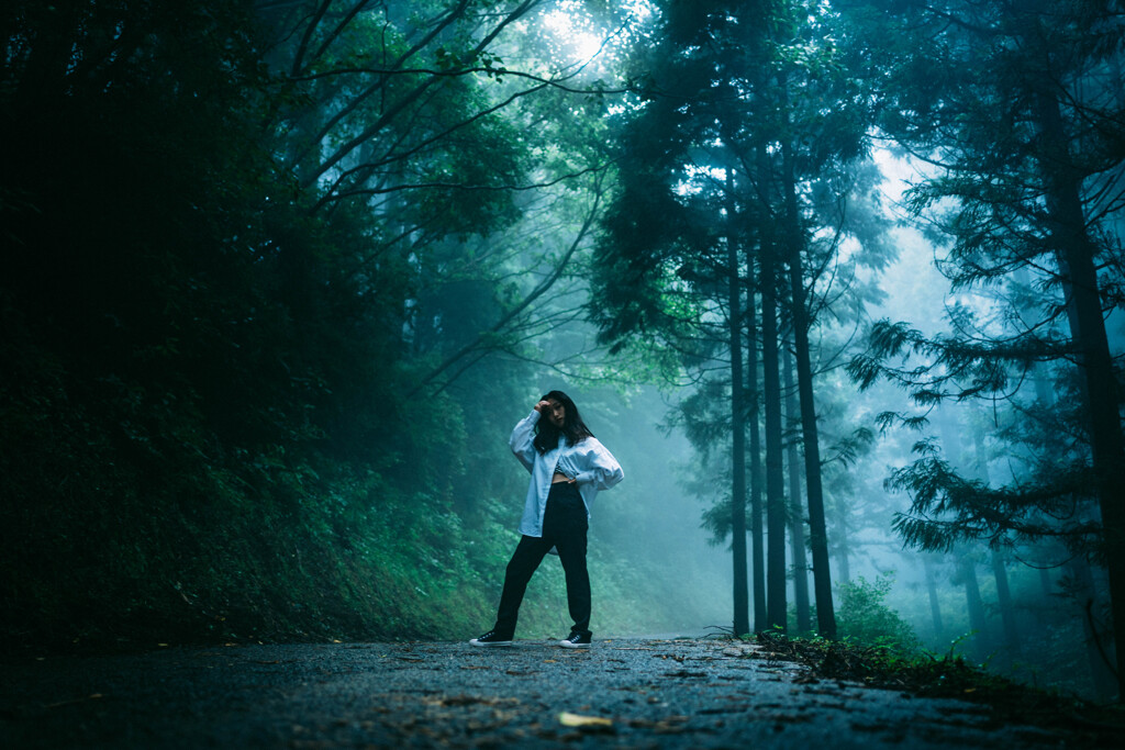 HANA Thick fog forest