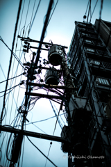 電柱