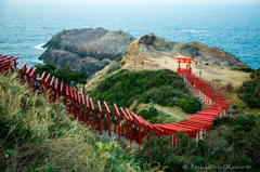 元乃隈稲成神社　海へ　