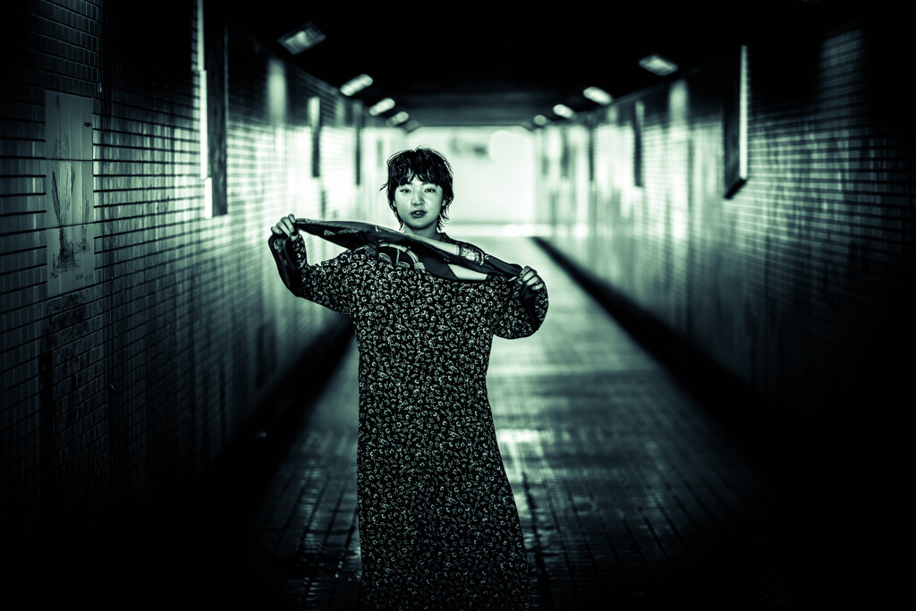 HIMI Monochrome