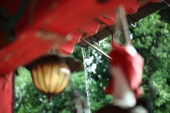 雨をとりに行く