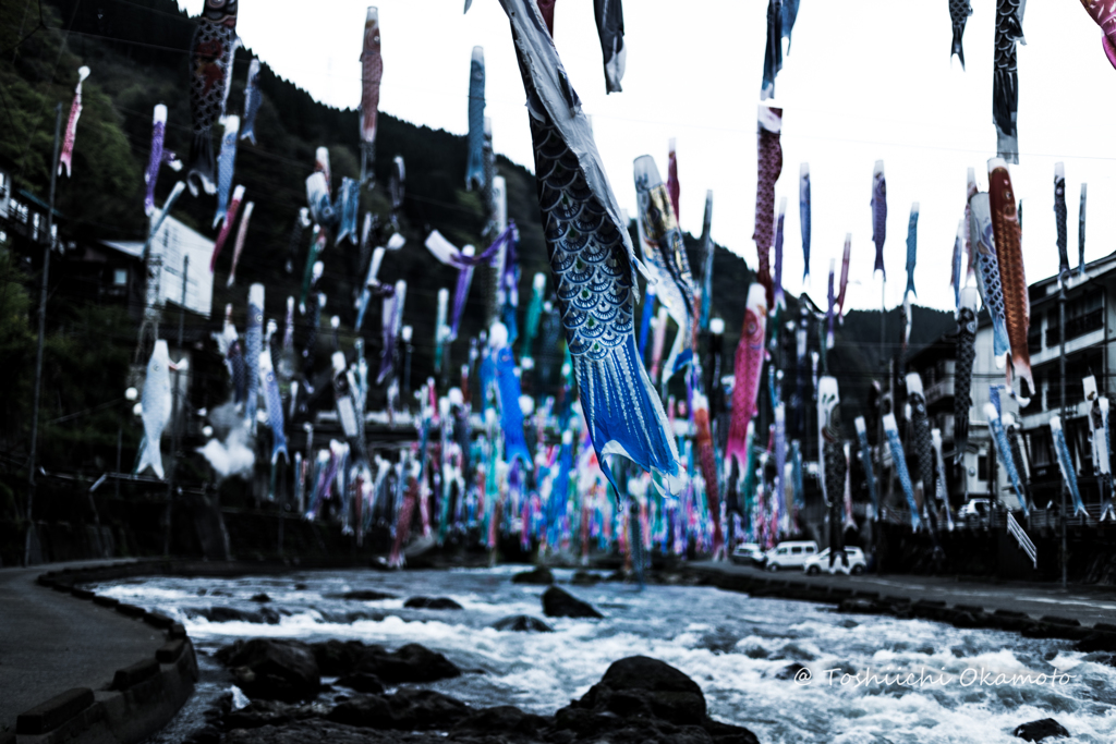 KOINOBORI