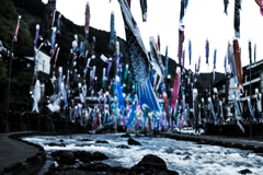 KOINOBORI