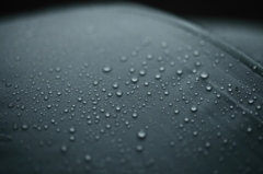 DPP_0045 (800x533)