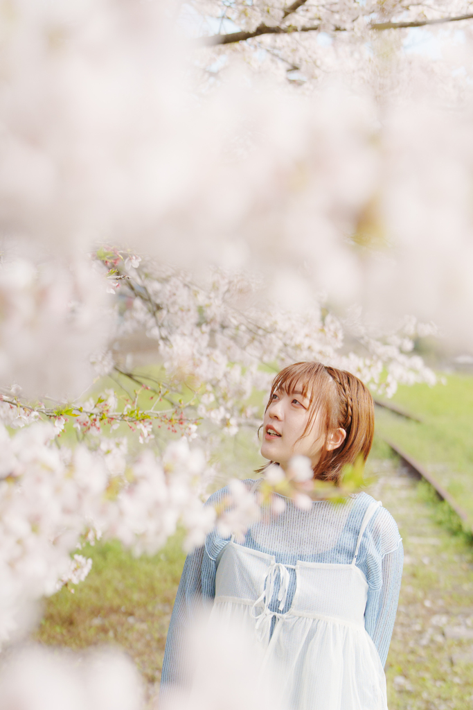 SATO 桜　