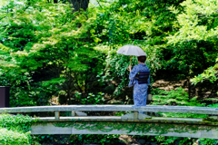 日傘の舞