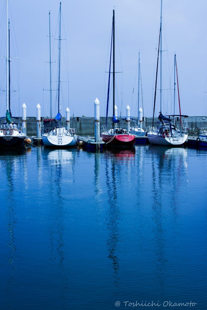 新門司マリーナ