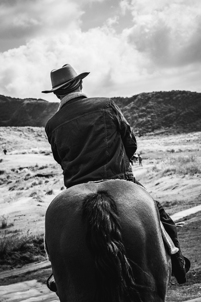 Tatemachi Cowboy's