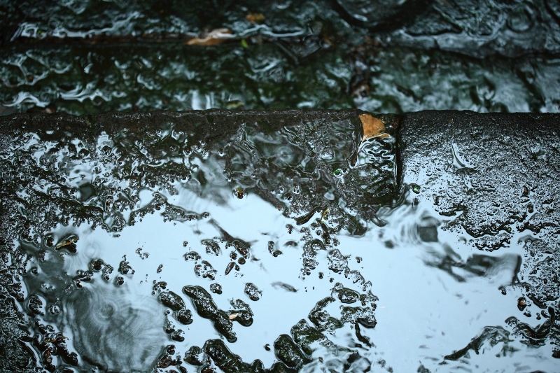 DPP_0149 (800x533)
