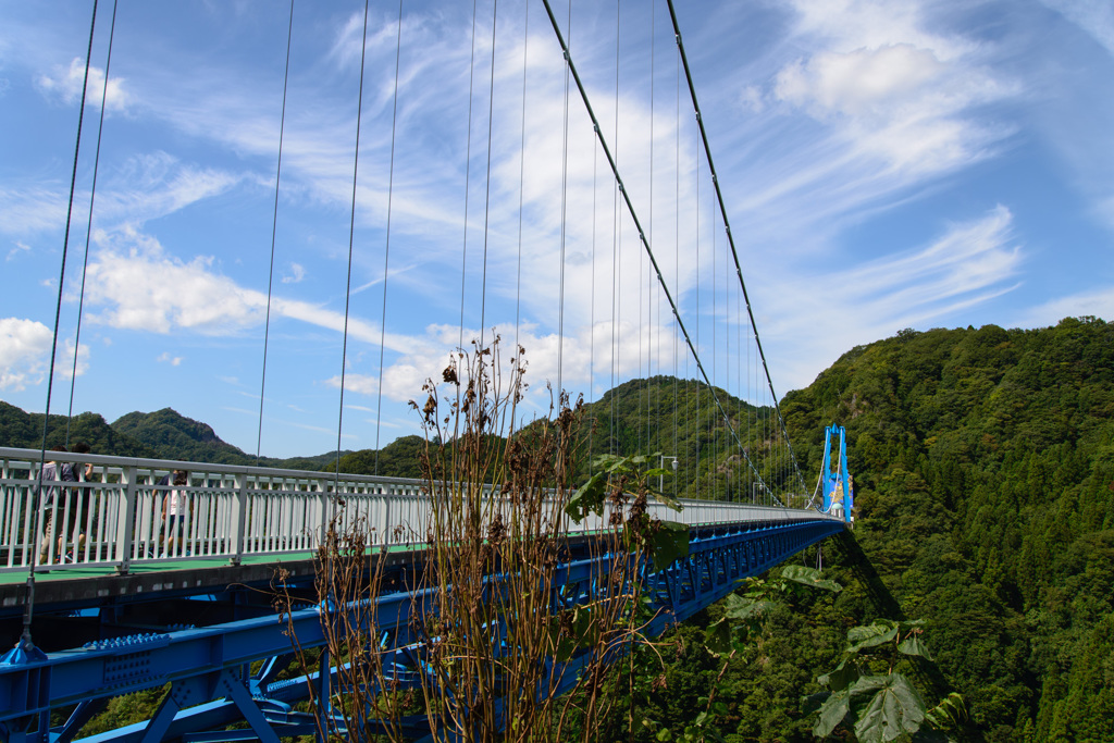 竜神大吊り橋①