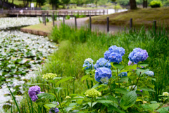 北山公園にて2