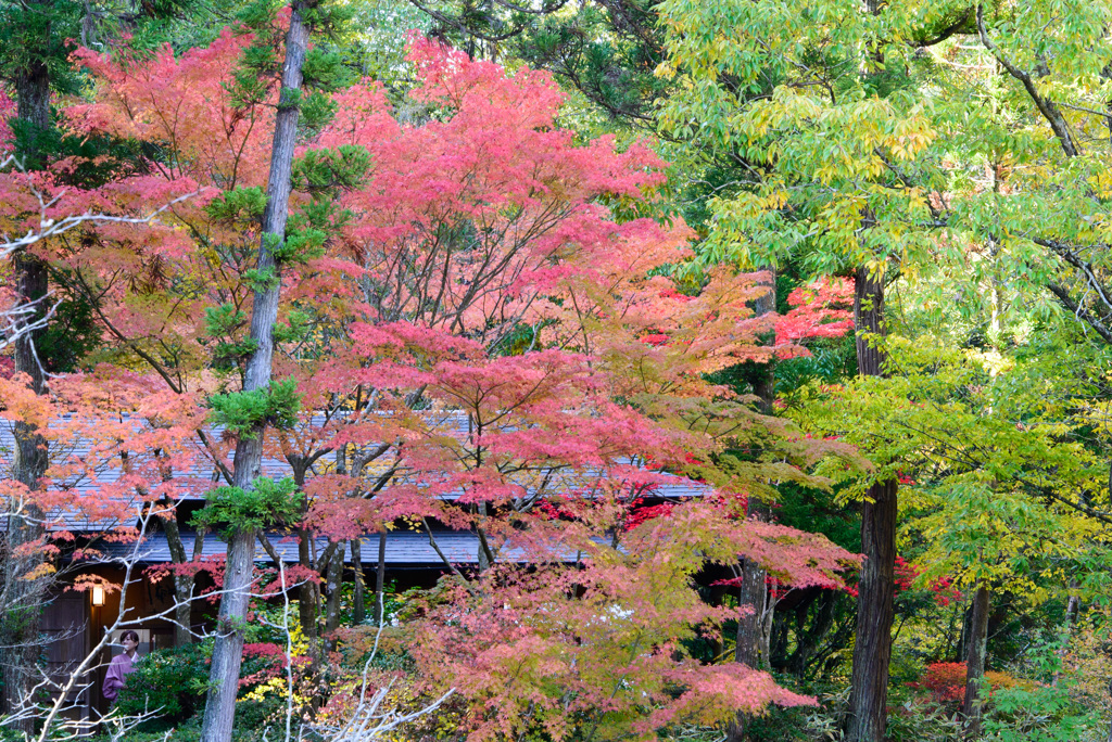 西山公園