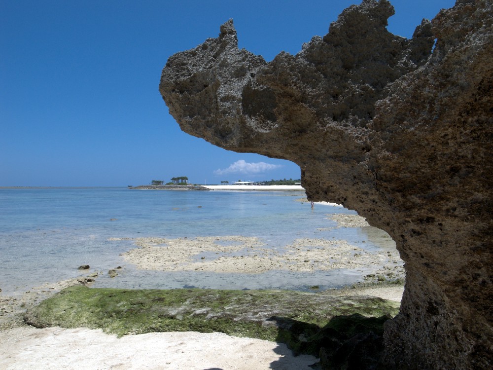 美ら海