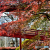 大悲山保和苑桂岸寺2