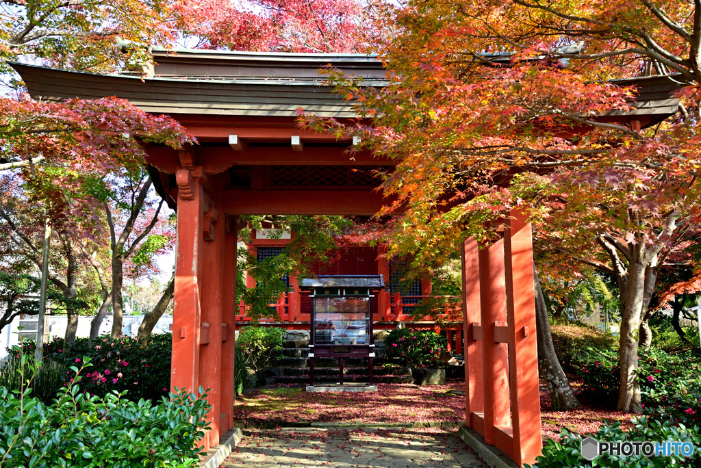 大悲山保和苑桂岸寺1 