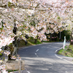 北山公園②