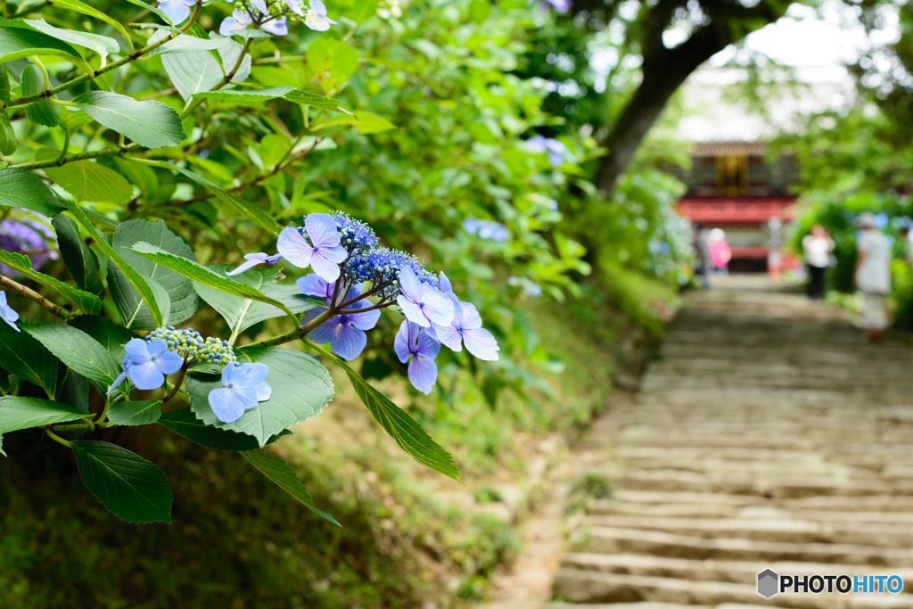 雨引山①