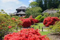 好文亭・夏