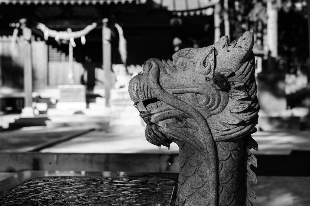 飛龍神社