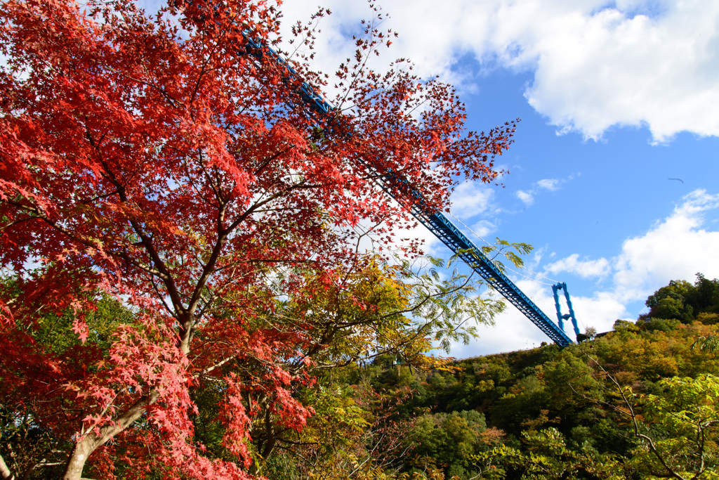 竜神橋・秋景