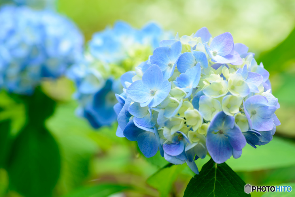 梅雨の晴れ間に①